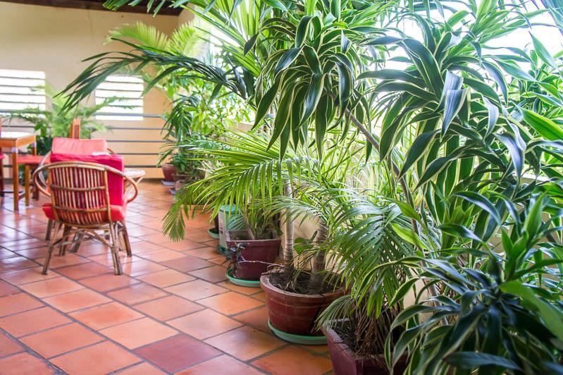 Visal Sak Guesthouse Kep Exteriér fotografie